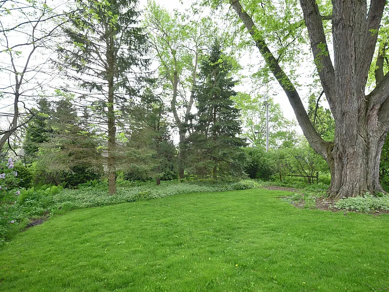 Peaceful Setting