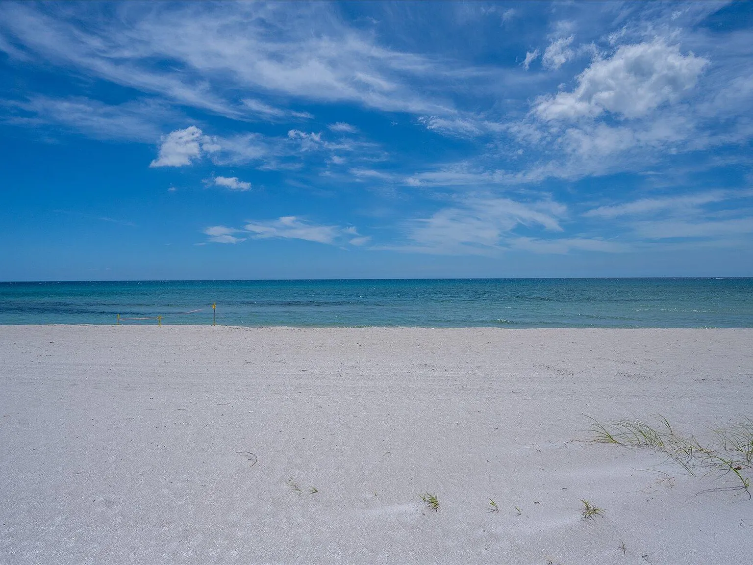 1 bed, 1.0 bath, 720 sqft, $6,000 — Photo 2
