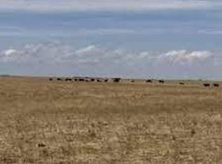 36545 Bowen Rd, Rush, CO 80864