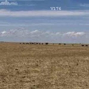 36545 Bowen Rd, Rush, CO, 80864