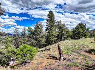 152 La Plata Dr, Hartsel, CO 80449