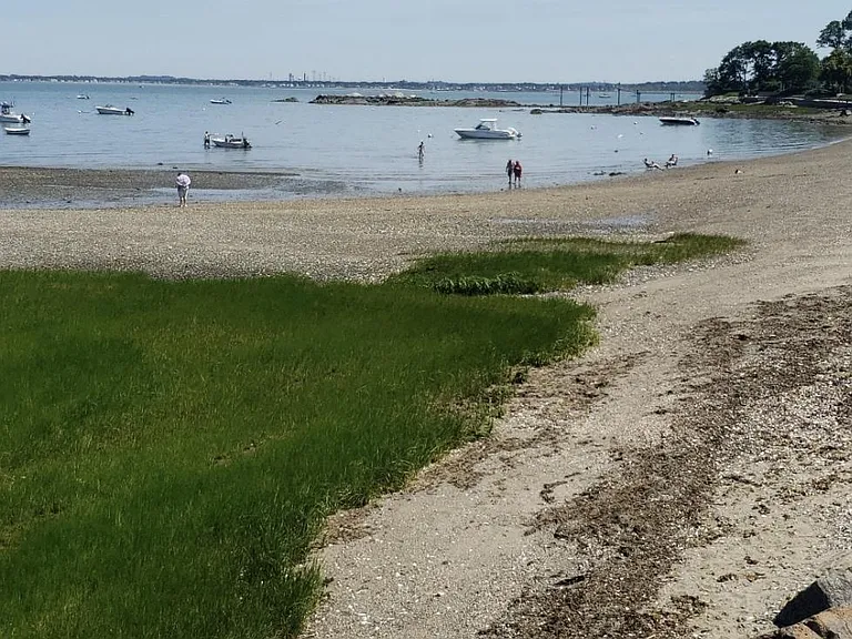 Orchid beach is at the bottom of the street.
