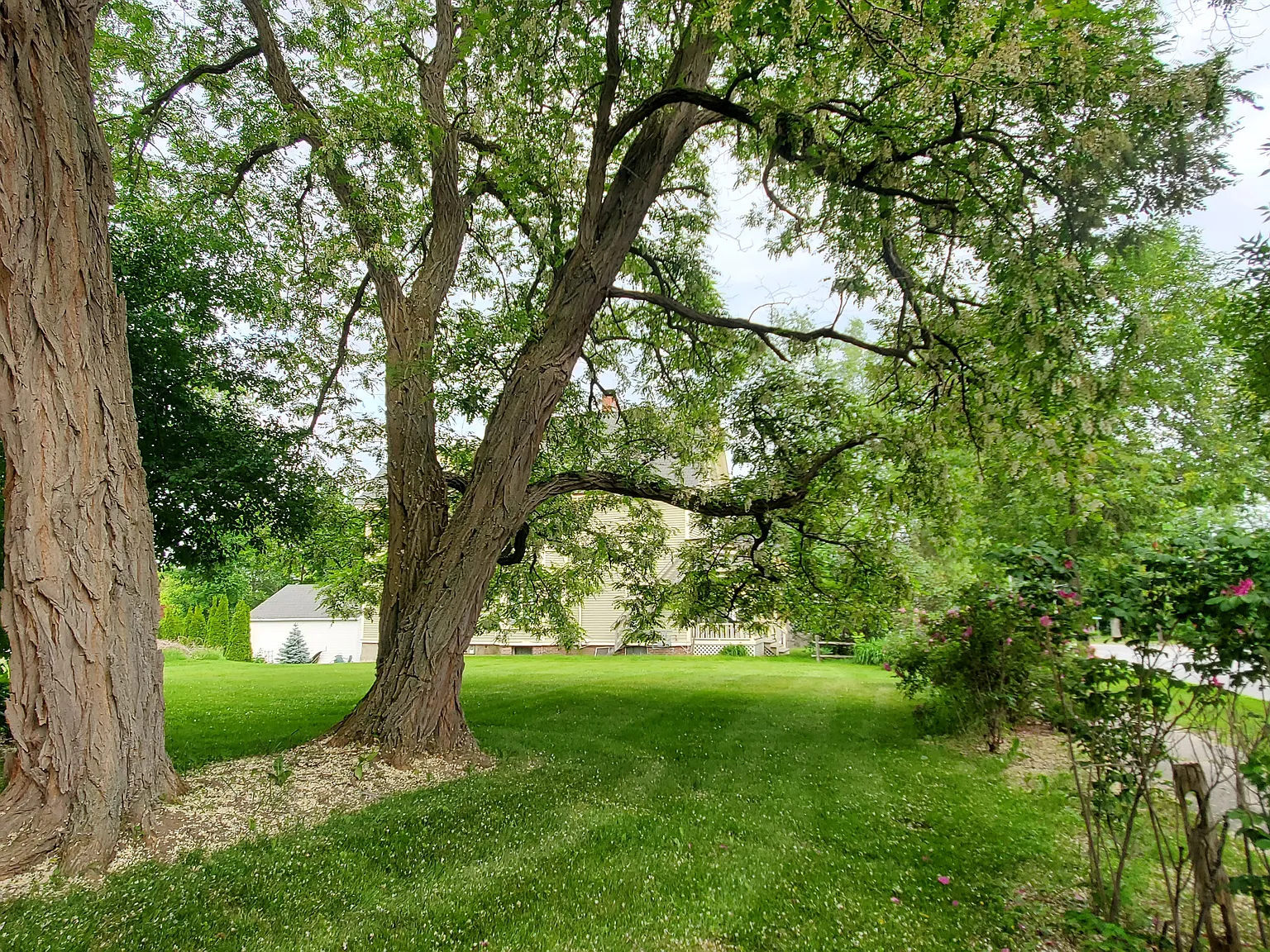 3 bed, 1200 sqft, $1,800 — Photo 3