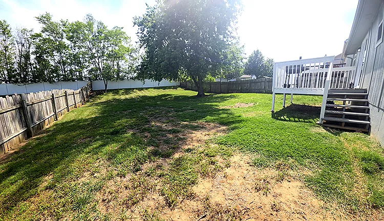 Back Yard