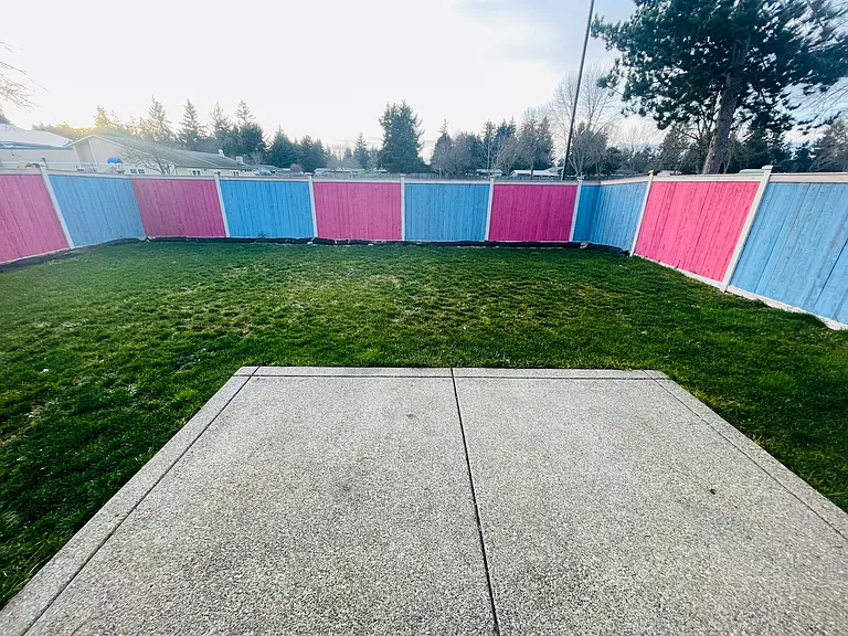 Spacious colorful backyard.