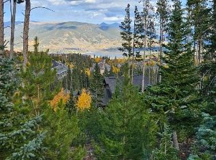 10 Stephanies Way, Silverthorne, CO 80498