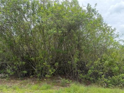 140 Fillmore Ave Lot 25, Lake Placid, FL, 33852