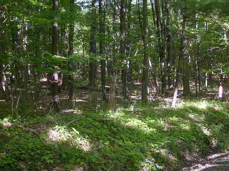 3rd image of 0 DUSENBURY HILL Road