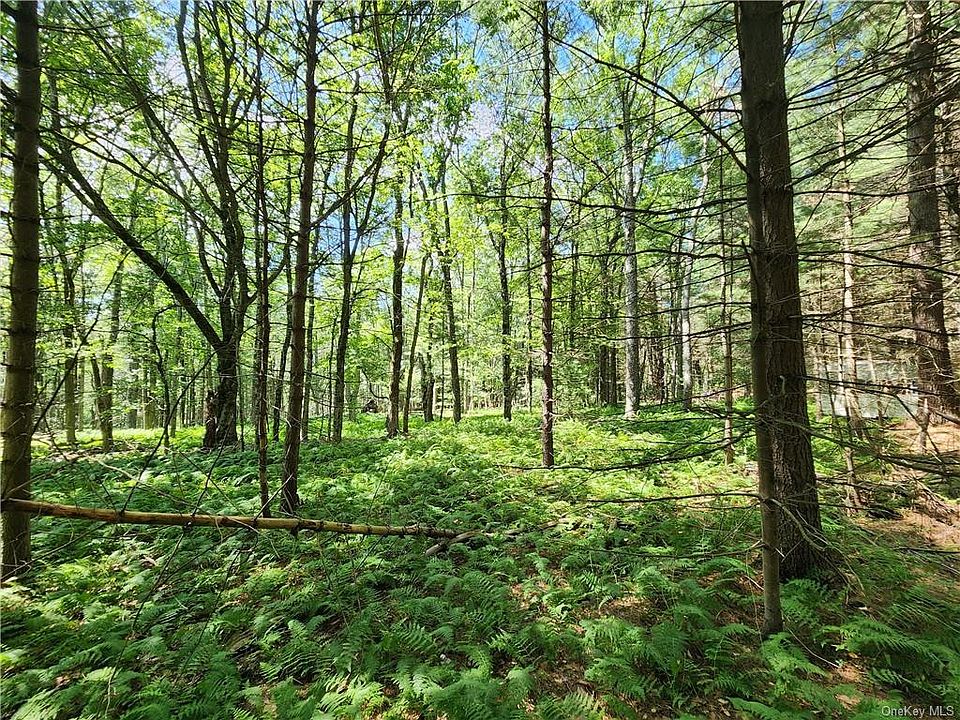 Dill Road, Forestburgh, NY 12777 MLS H6261089 Zillow