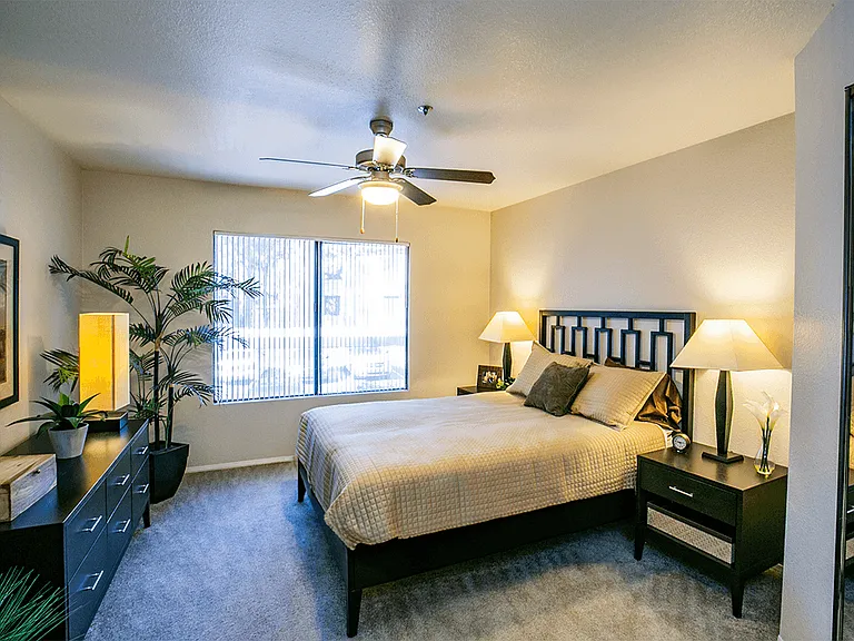 Ceiling Fans