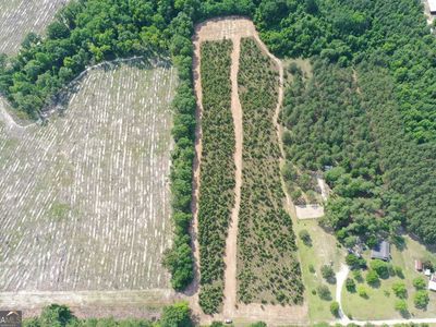 0 Sid Lanier Rd, Millen, GA, 30442