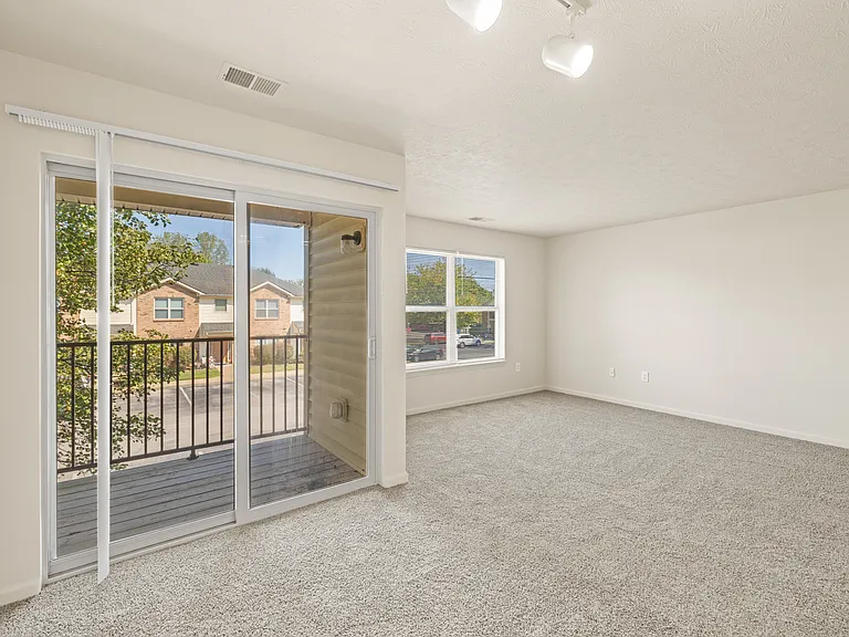 Springview Apartments — Photo 83