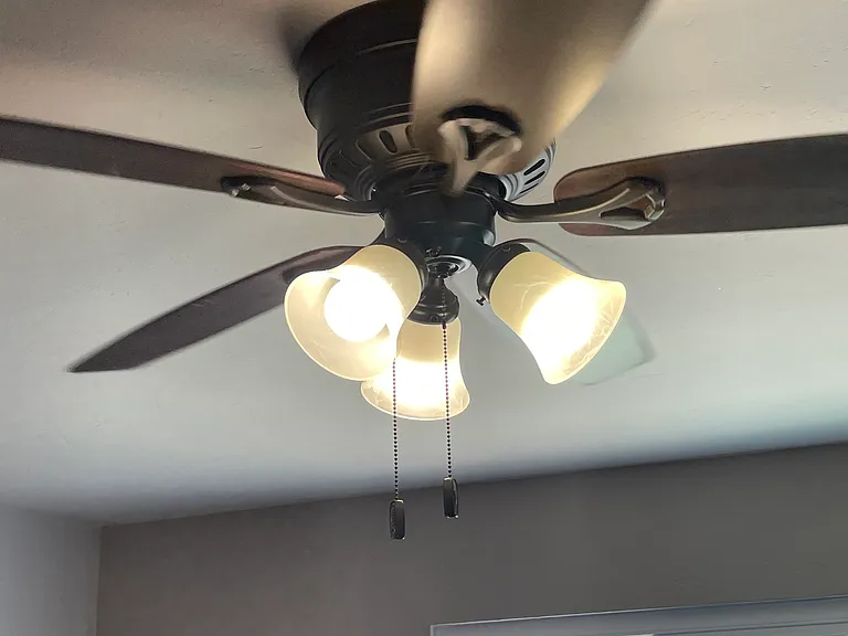 Living room fan