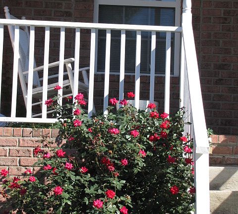 Comfortable front porch