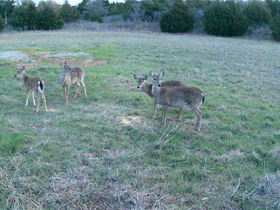 2nd image of 800558 S 3290th Rd