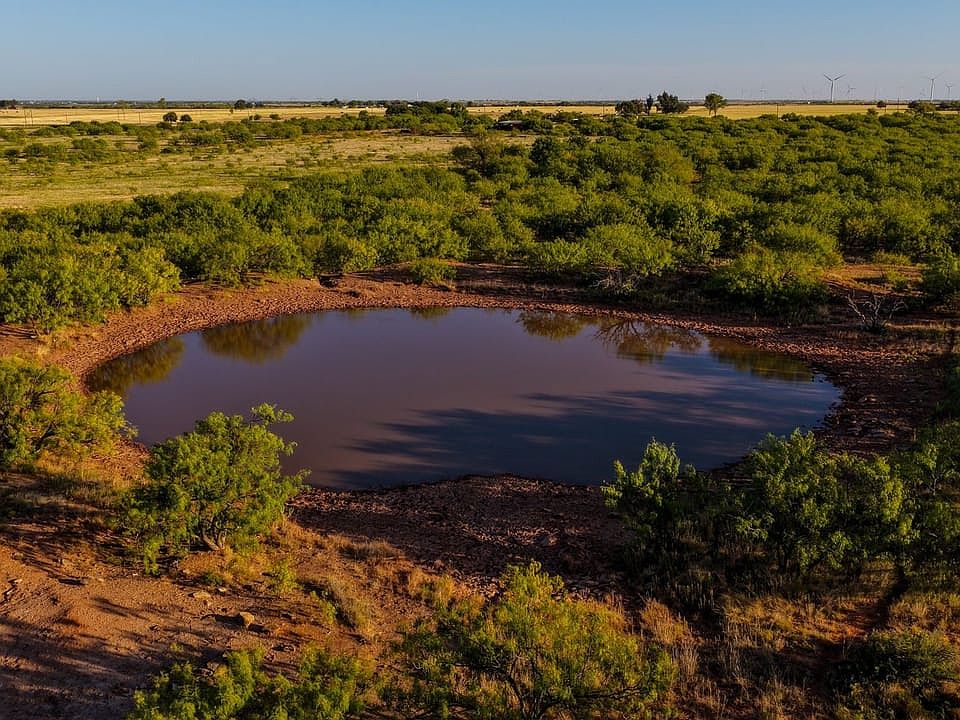 Walker Road Ranch, mature mesquite trees, hardwood trees, ponds, native grasses, electric
