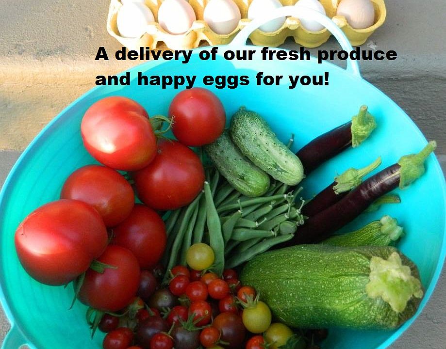 This is a basket of veggies you get if you live at this amazing home!