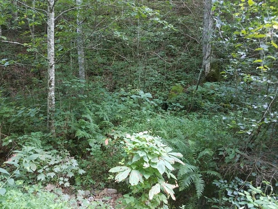 1st image of 0 Swan Creek Rd