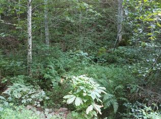 0 Swan Creek Rd, Sneedville, TN 37869