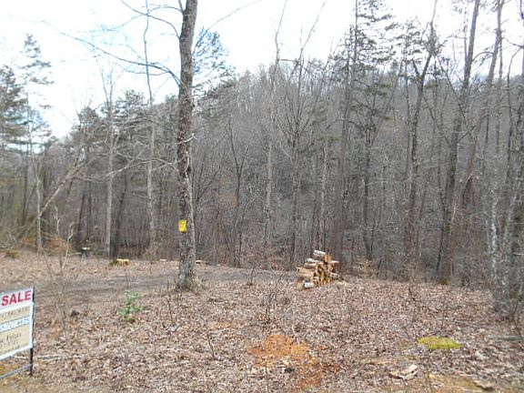 4th image of 122 Sawmill Cv