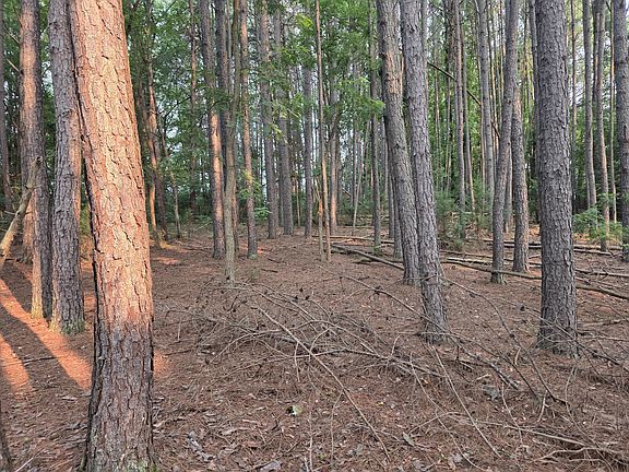 3rd image of LOT 2 Morgans Fork Rd