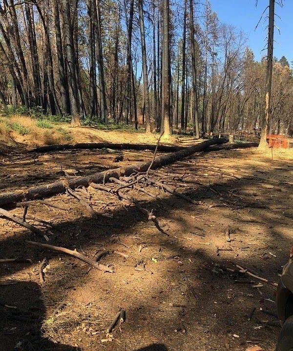 2nd image of 6550 Daphne Ln