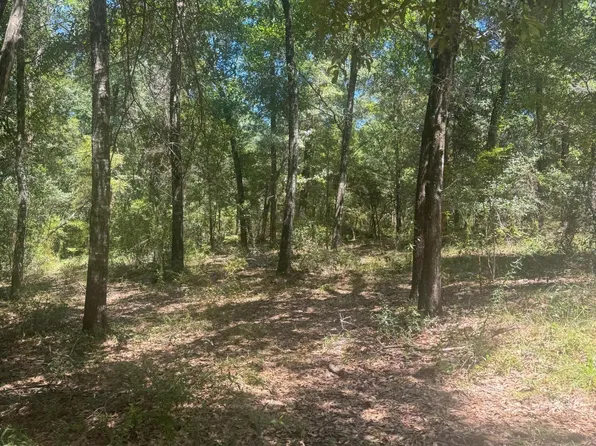 00 Dove Court, Chipley, FL 32428