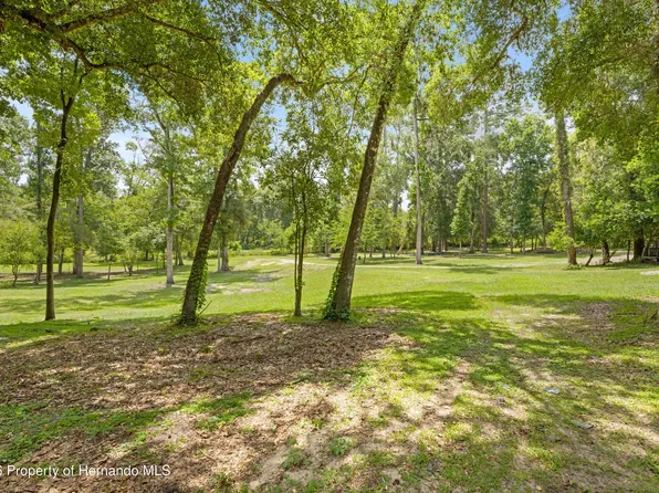3311 Baseball Pond Rd, Brooksville, FL 34602