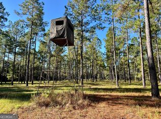 0 Lower River Rd, Hawkinsville, GA 31036