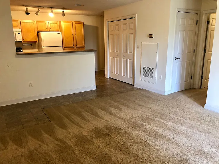 701 Harts Cove Way — Photo 23