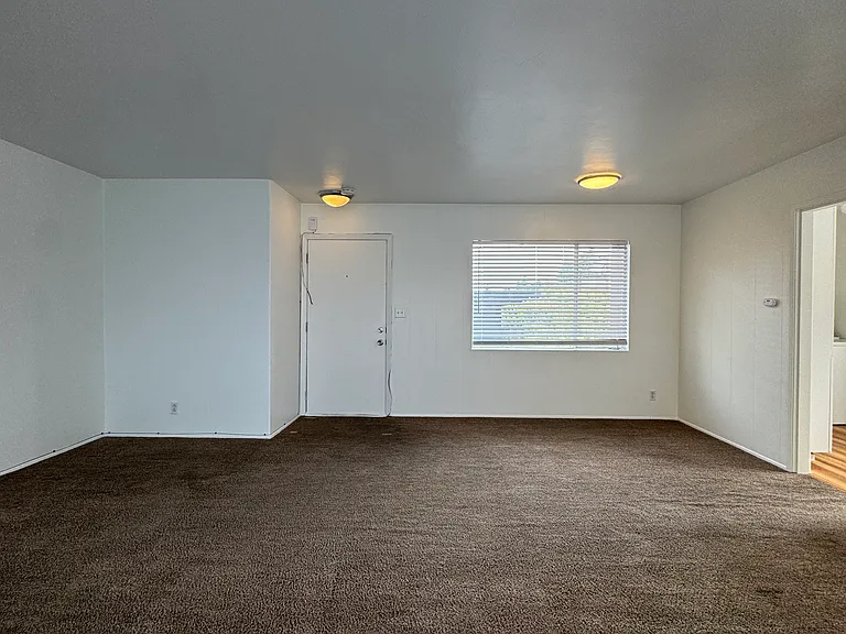 216 Orange St — Photo 3