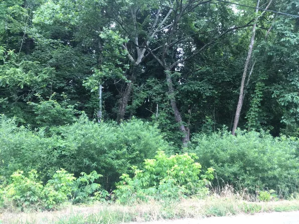 LOT 1 Adrian Dr, Kingsport, TN 37664