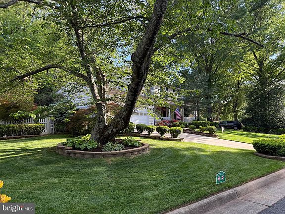 3rd image of 4569 Rincon Pl