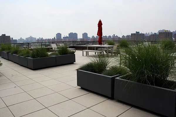 Rented by Corcoran | media 16