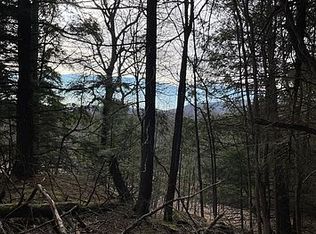 464 Deer Run Rd, Windham, NY 12496