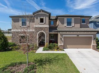 8229 Mallow Mirror Ln, Land O Lakes, FL 34637