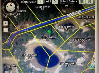 David Dr, Weeki Wachee, FL 34613