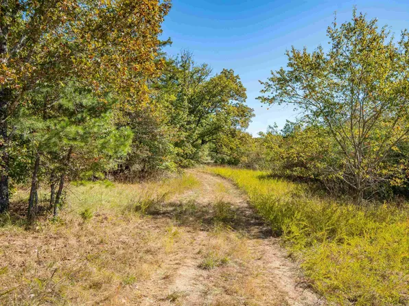 Brushy Mountain Rd, Jessieville, AR 71949