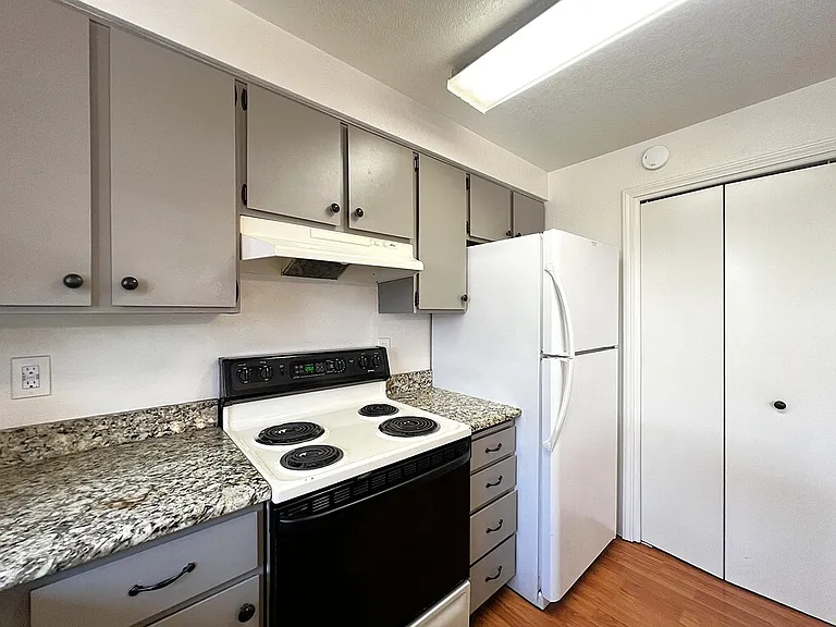 1318 S Michigan Ave — Photo 11