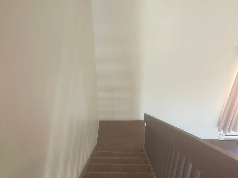 3300 Eureka Pl #5 — Photo 5