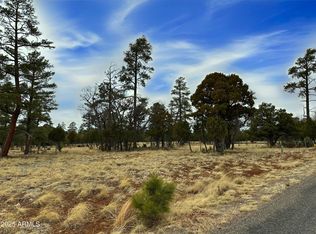 4109 Durango Dr #295, Happy Jack, AZ 86024