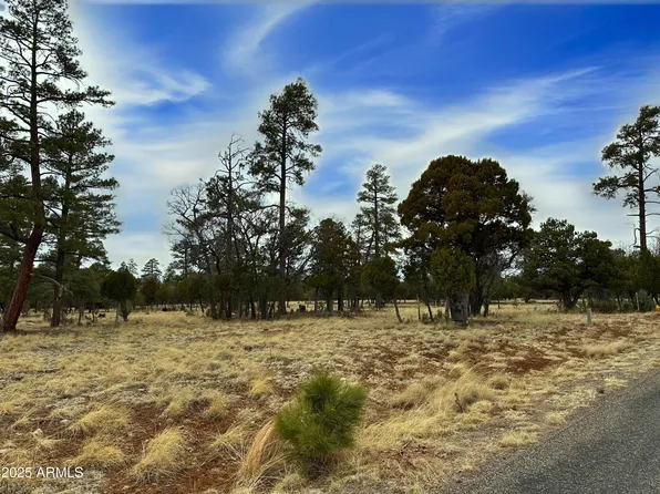 4109 DURANGO Drive #295, Happy Jack, AZ 86024