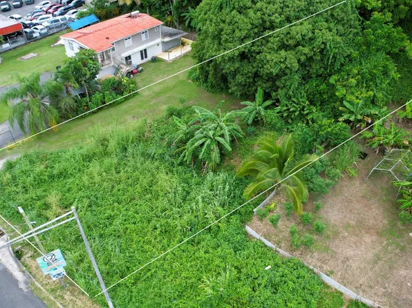 2 Bo Naranjo, Aguada, PR 00602