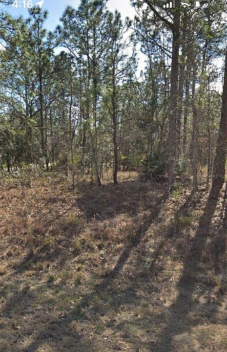 1st image of 13398 SOOTY TERN AVENUE LOT 9
