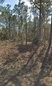 13398 SOOTY TERN AVENUE LOT 9, Brooksville, FL, 34614