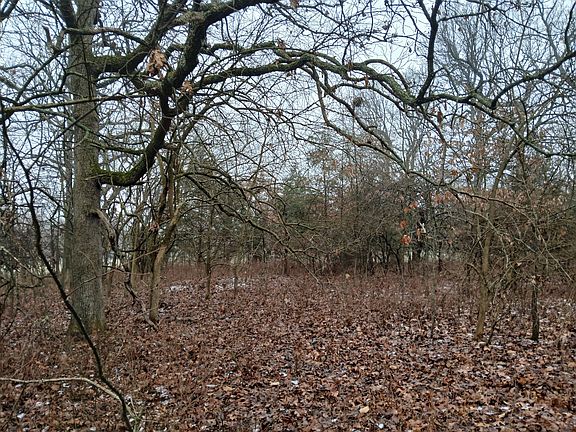 4th image of 7.36 Acres 64 Highway
