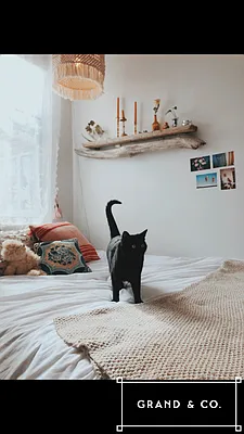 Rented by Grand & Co. | media 24