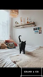 Rented by Grand & Co.