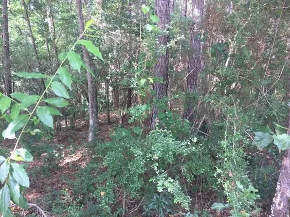 153 Greenbay Cir, Daphne, AL 36526