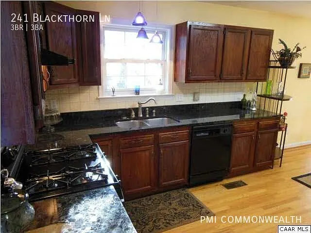 241 Blackthorn Ln — Photo 7